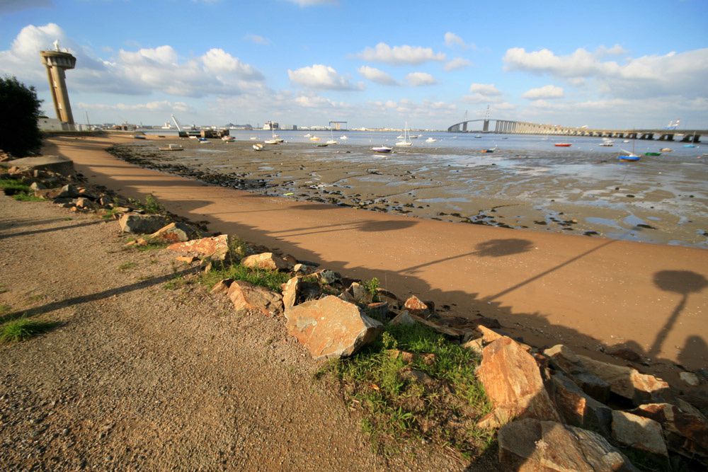 Album - Mindin-Estuaire-de-la-Loire