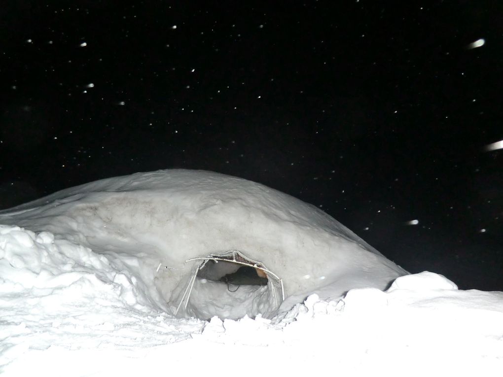 Igloo, moto neige et chien de traîneau ...