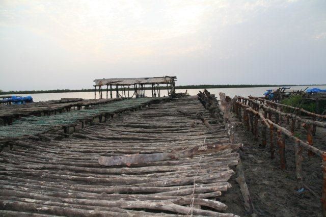 Album - casamance-senegal