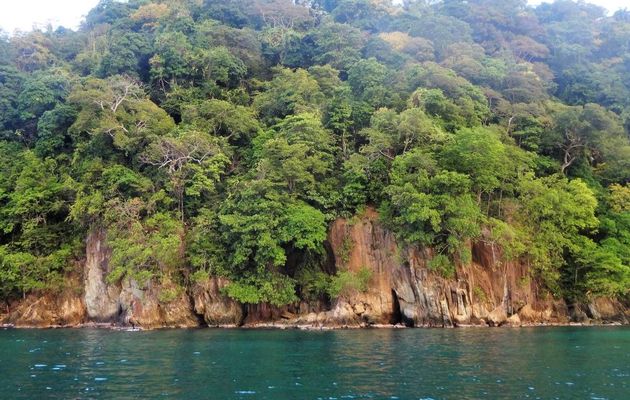 Tobago, la douceur de vivre