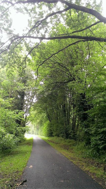 2016-06 Sancy-les-Meaux