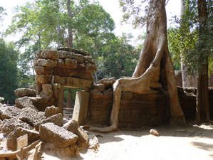 Le Cambodge fut rapide mais intense entre Siem Reap et les temples d'Angkor, Battambang et son cooking course et enfin Phnom Penh. 