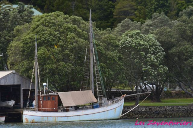 Wangarai et le début dui Parc des Kauri géants...