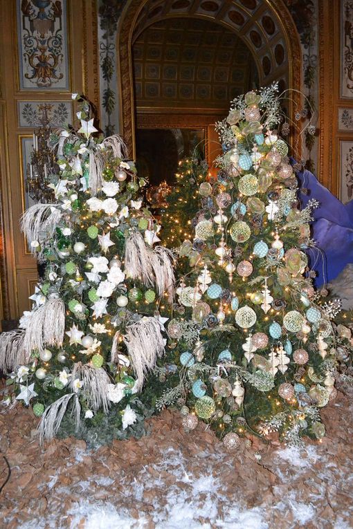 LA MAGIE DE NOEL AU CHATEAU DE VAUX LE VICOMTE (77) - DECEMBRE 2016