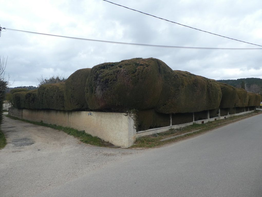 Rando du 18/02/2019 St Pierre les Martigues