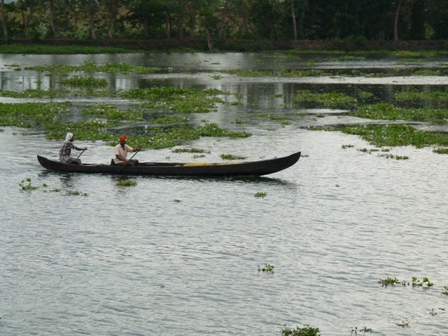 Album - INDE (Kerala Backwaters 1)