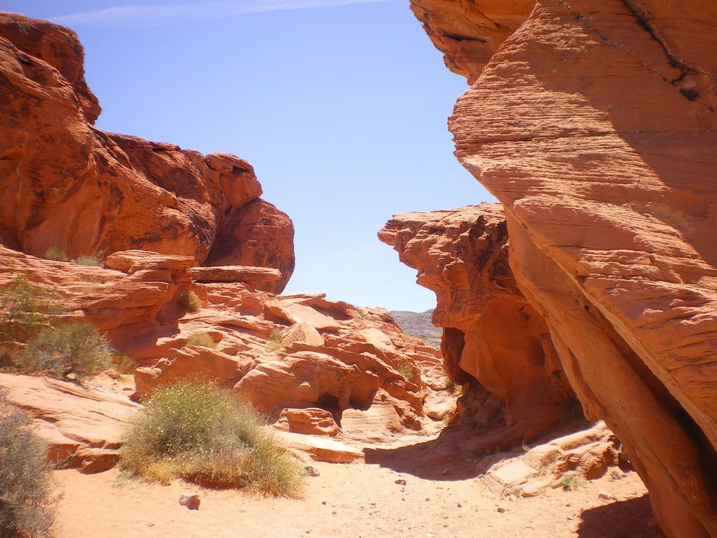 Wild West (« Ouest sauvage »).
 aussi appelé Far West .
déserts rouges à perte de vue et 
des montagnes sculptées par l'érosion.
