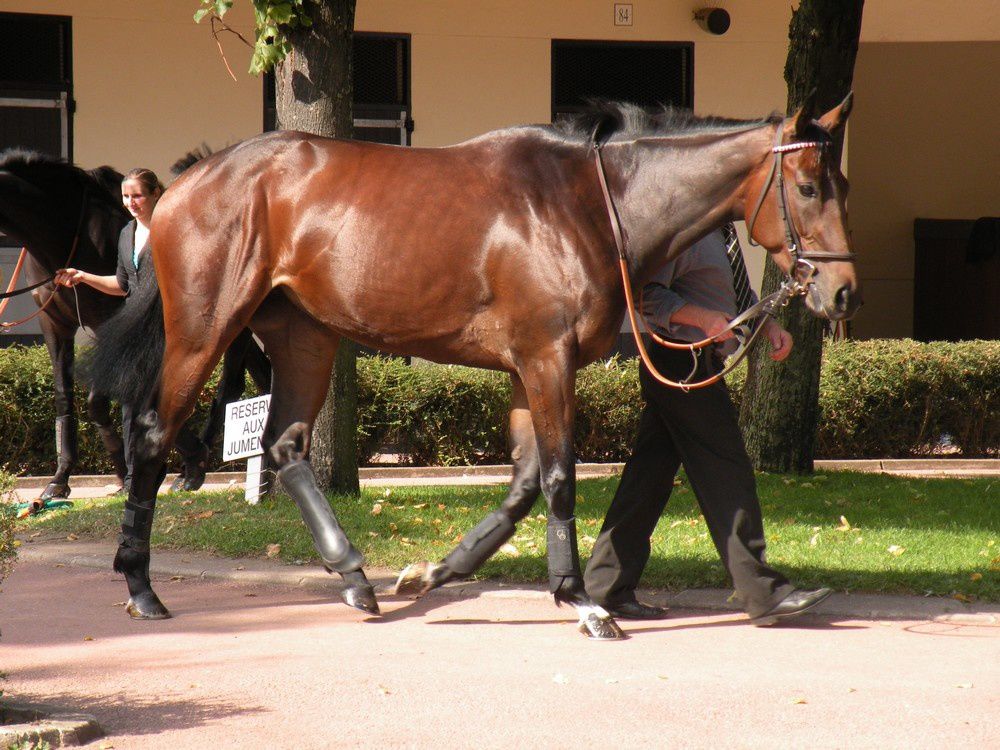 Album - 20110924-AUTEUIL