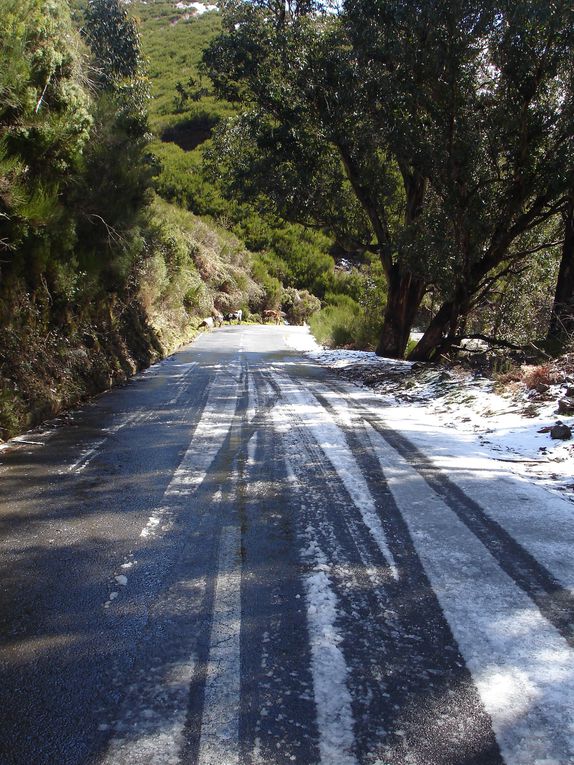 Neige à Madère en Mars 2011 - Episode rare sur cette île.