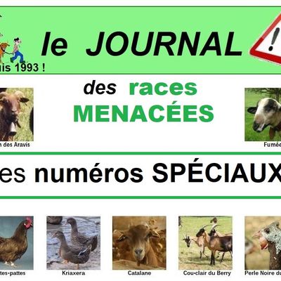 Nos numéros SPÉCIAUX