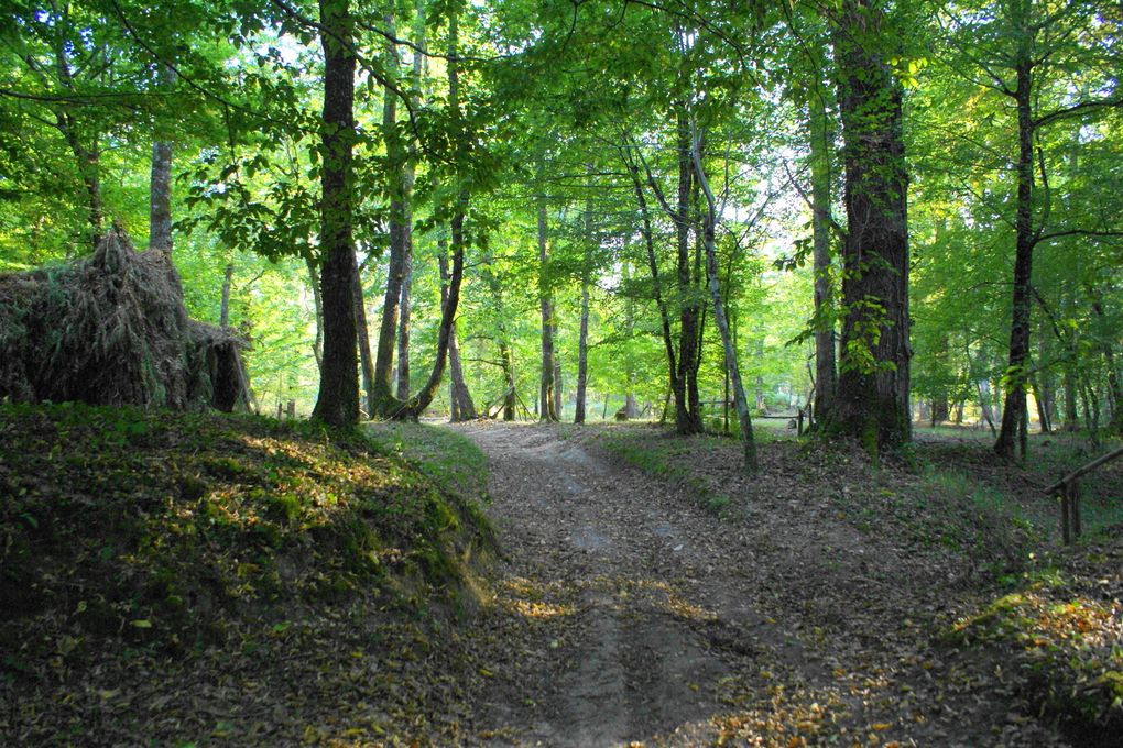 Je vous invite à visiter notre région au travers de cette belle saison haute en couleurs qu'est l'Automne