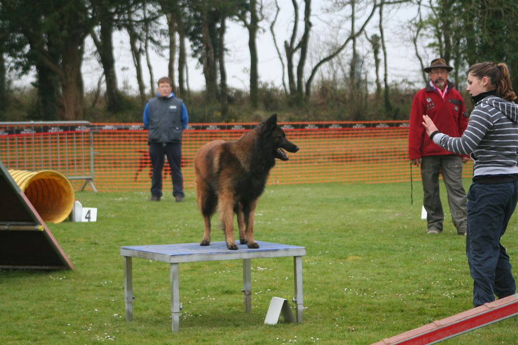 Album - Concours-Agility-La-Martyre-2012--1--partie