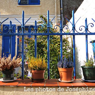 Un petit coin de paradis dans Paris