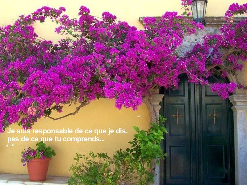 Divers - Recueils de réflexions