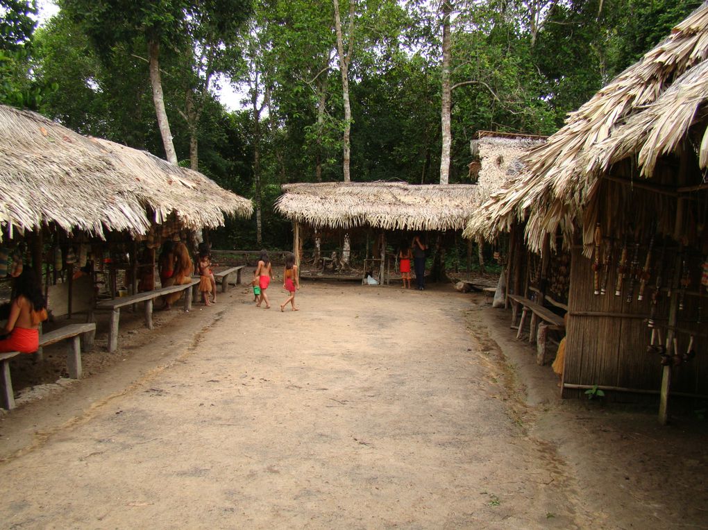 Album - Perou--Machu-a-Iquitos