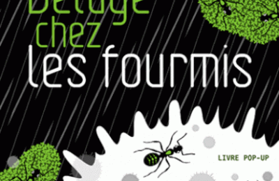 Déluge chez les fourmis