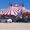 Un samedi au cirque