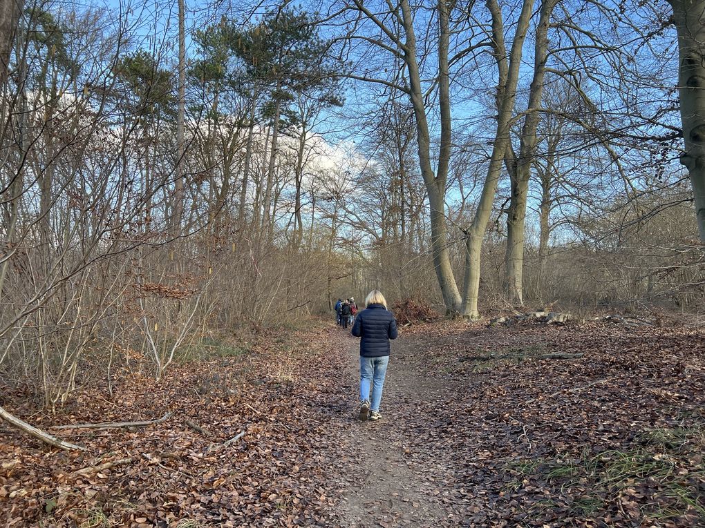 Randonnée de Persan-Beaumont à Presles - 21,7 km.