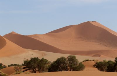 Namibie - Le Naukluft et le désert du Namib - Novembre 2019 