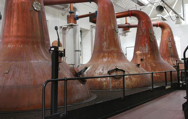 L’Armagnac (définition, production, consommation)