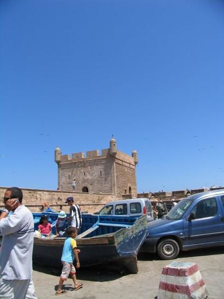 quelques 106 photos d'Essaouira, de son port, de ses mouettes et de ses chats plus ou moins mités