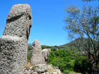 Quelques statues-menhirs à forme humaine