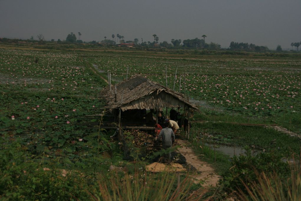 Album - Cambodge