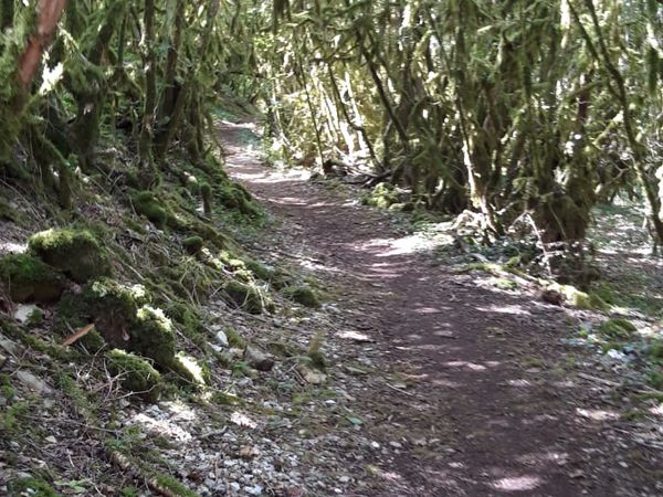 Les jeunes pros sur les chemins de saint Jacques