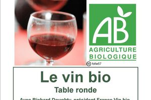 Table ronde "le vin bio" : vendredi 10 février, 20h30