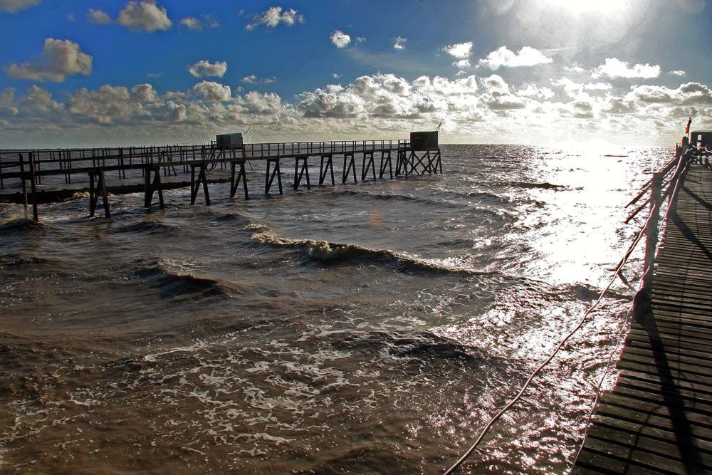 Album - Promenade en Pays de Retz