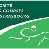 PRONOSTICS COURSES QUINTE DU 10-06-2009