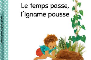 Tout chaud ! Le temps passe, l’igname pousse de Julie Dupré Collection : Petit etë aux éditions Plume de Notou