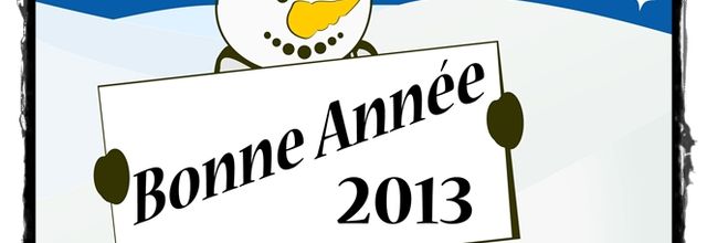 Bonne Année / Happy new year 2013