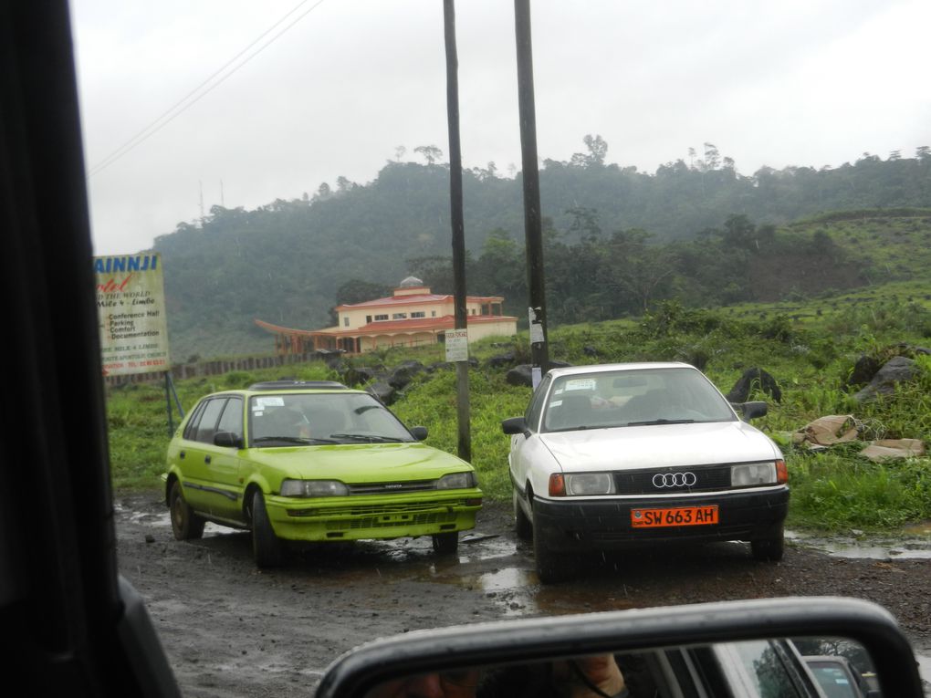 Limbé et ses plages, son parc botanique, son centre de la faune, son activité. Buea base pour le Mont Cameroun et le pont M'Fundi base pour le Nigeria