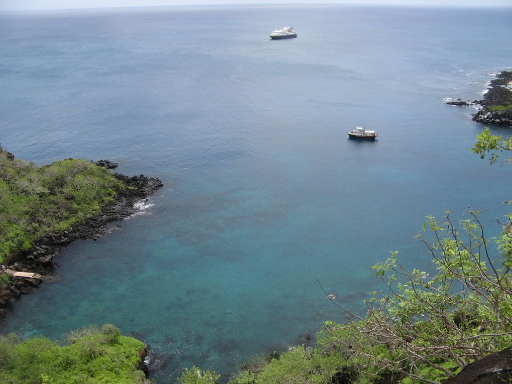 Une semaine aux Galápagos. 8/15 mai 2015