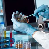 Les États-Unis ont levé leur interdiction fédérale de créer des virus mortels en laboratoire