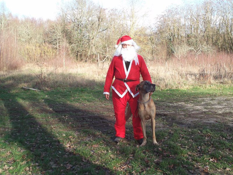 Le père Noel au club