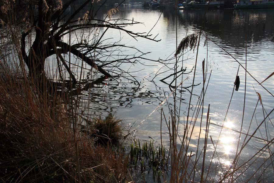 Les Bords de l'Erdre à Nantes - Photos Thierry Weber Photographe La Baule Guérande