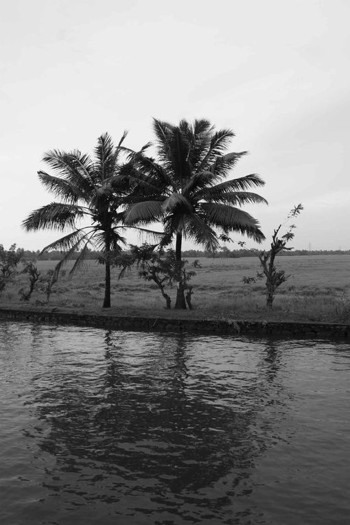 Album - Kaniyakumari - Goa