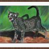 Igor Andronov - Angry Cat - 2004