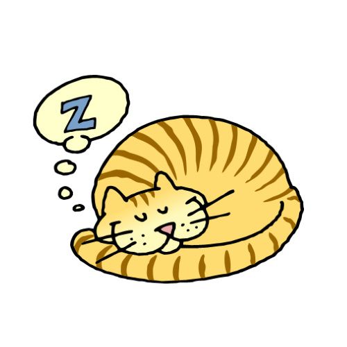 Le Chat Merveilleux Shoshin