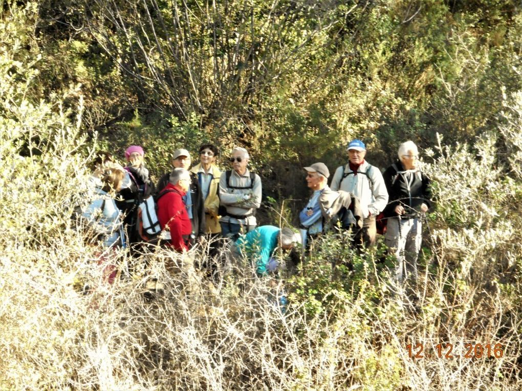 D'Allauch le Logis neuf, le circuit de la Moure en rando!