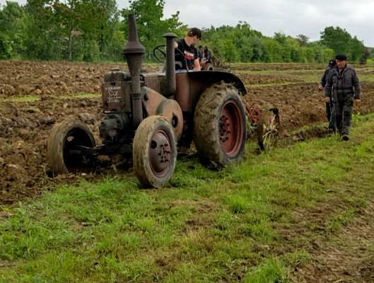 FOIRE 2023 : LE PERCHERON T25