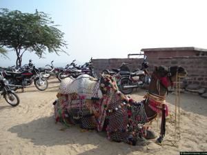 Laura nous raconte son voyage à Jodhpur (Rajasthan - Inde)