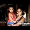 International Day of Action to stop the Belo Monte Dam Complex