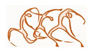Dansez sa vie: Qigong et Body-Mind Centering