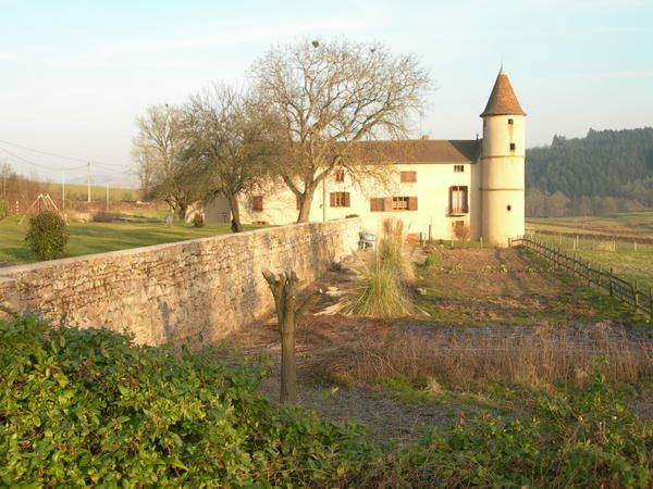 Voici différentes photos de l'ancien château avec les alentours ...