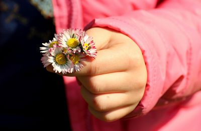 Balade de Printemps ça vous tente ? 