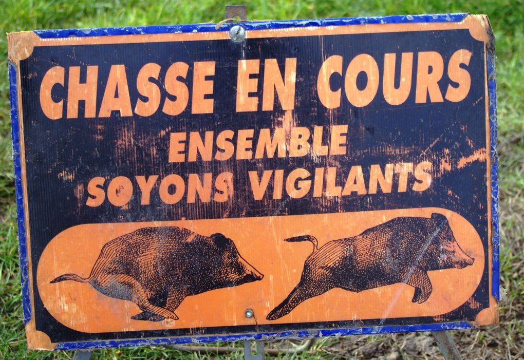 Chasse en cours : angoisse des randonneurs