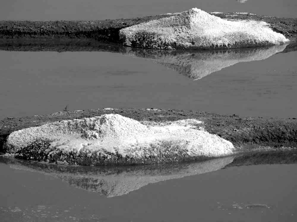 Album - Les Marais-salants de Guerande en noir et blanc